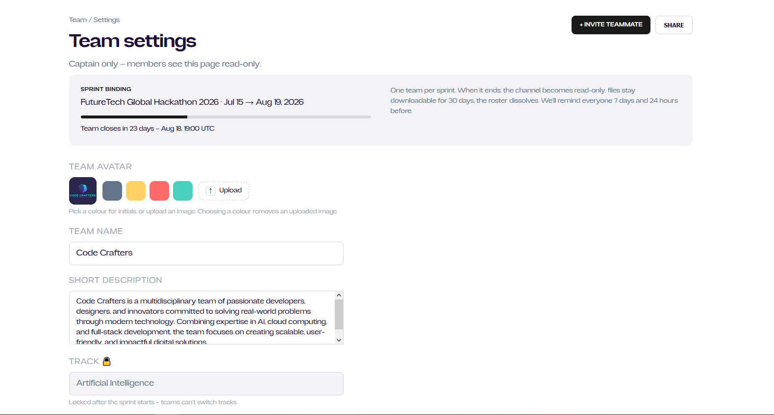 Team settings page: details, size, visibility, and danger zone